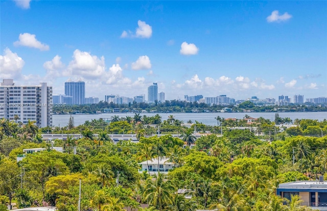 13155 Ixora Ct Unit 1105, North Miami, FL 33181 - bird's eye view of skyline and a large body of water