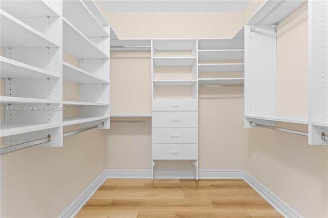 1504 NW 182nd Ave, Pembroke Pines, FL 33029 - spacious closet with light wood-style floors