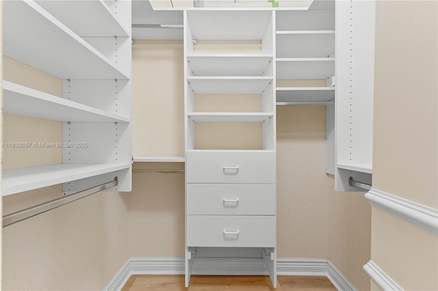1504 NW 182nd Ave, Pembroke Pines, FL 33029 - spacious closet with light wood-style flooring