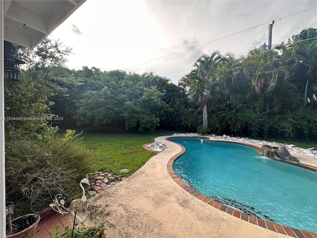 8751 SW 110th St, Miami, FL 33176 - swimming pool with a yard