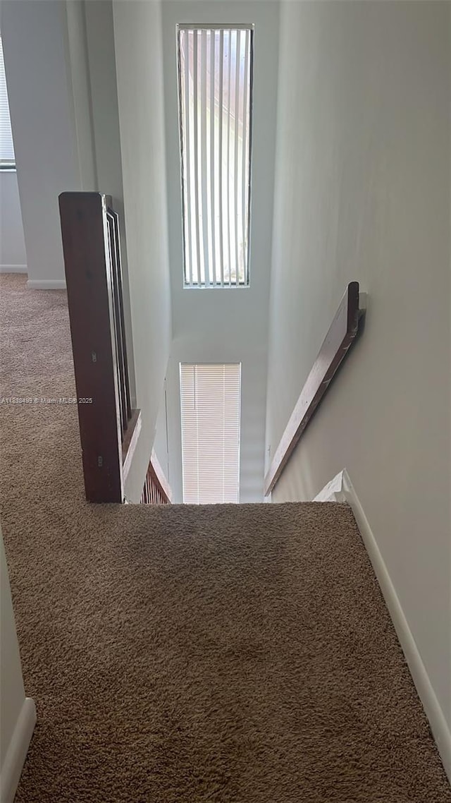 5200 NW 31st Ave Unit 217, Fort Lauderdale, FL 33309 - stairs with carpet floors and baseboards