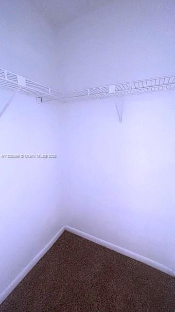5200 NW 31st Ave Unit 217, Fort Lauderdale, FL 33309 - walk in closet with carpet flooring