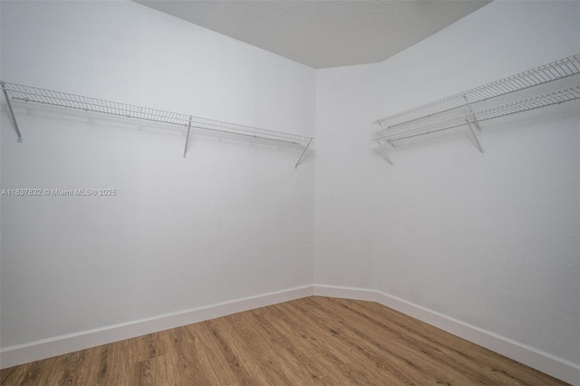 2664 Edgewater Dr, Weston, FL 33332 - spacious closet with light wood finished floors