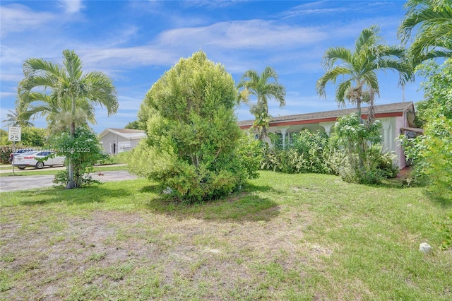6768 Rose Dr, Miramar, FL 33023 - view of green lawn