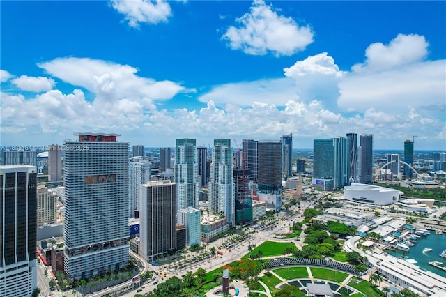 253 NE 2nd St Unit 213, Miami, FL 33132 - city view with a nearby body of water