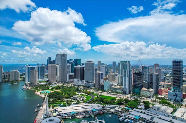 253 NE 2nd St Unit 213, Miami, FL 33132 - view of city skyline featuring a large body of water
