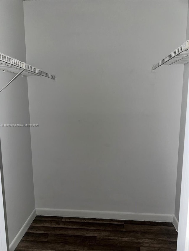 8897 Fontainebleau Blvd Unit 208, Miami, FL 33172 - spacious closet with dark wood-style floors