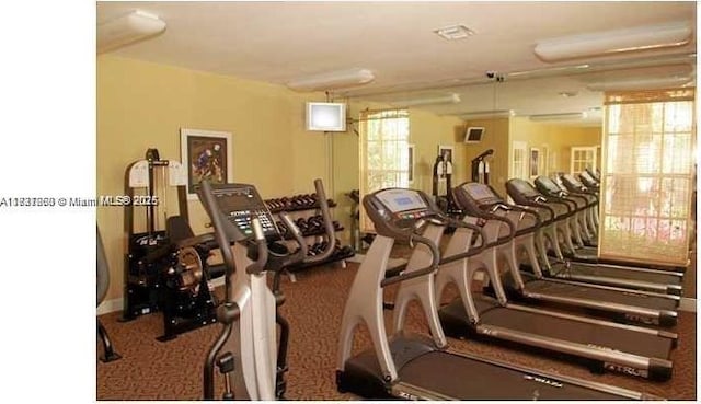 1231 SW 46th Ave Unit 507, Pompano Beach, FL 33069 - workout area featuring carpet flooring
