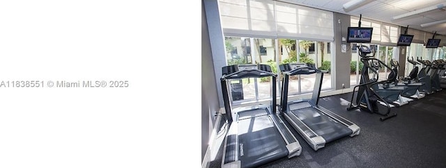 3901 S Ocean Dr Unit 5P, Hollywood, FL 33019 - photo 20