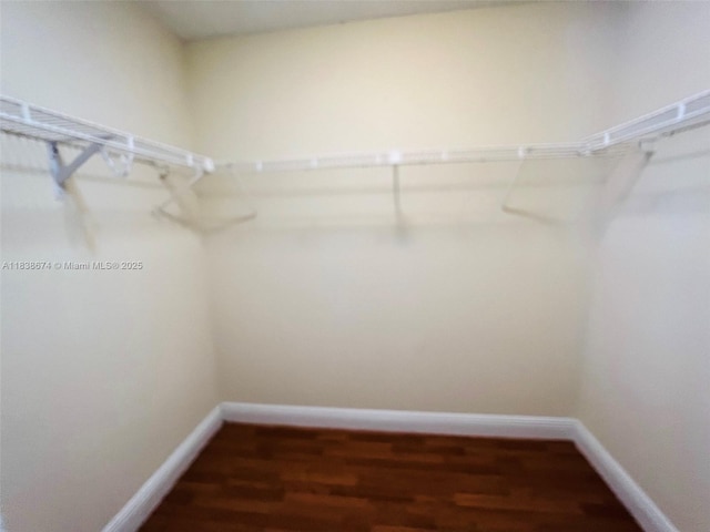 10670 SW 156th Pl Unit 304, Miami, FL 33196 - walk in closet featuring wood finished floors