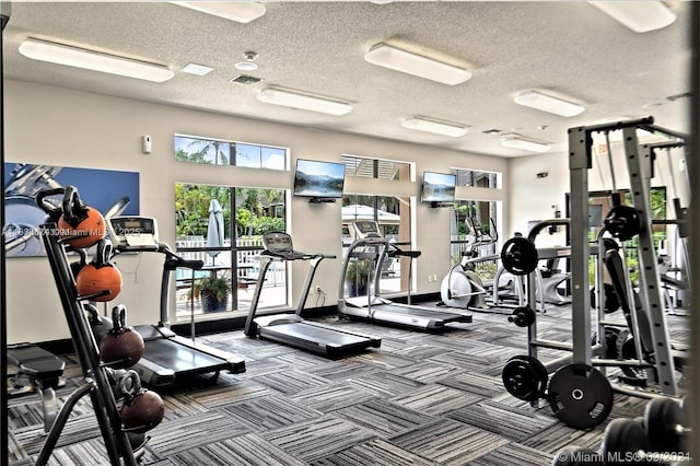 10670 SW 156th Pl Unit 304, Miami, FL 33196 - exercise room featuring carpet floors and a textured ceiling