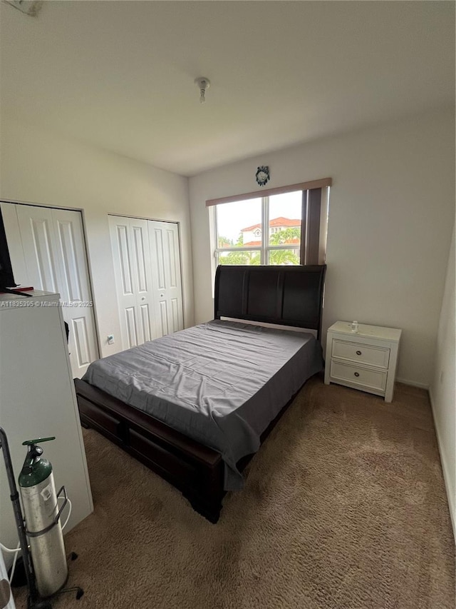 15924 SW 306th Ter, Homestead, FL 33033 - bedroom featuring multiple closets and carpet
