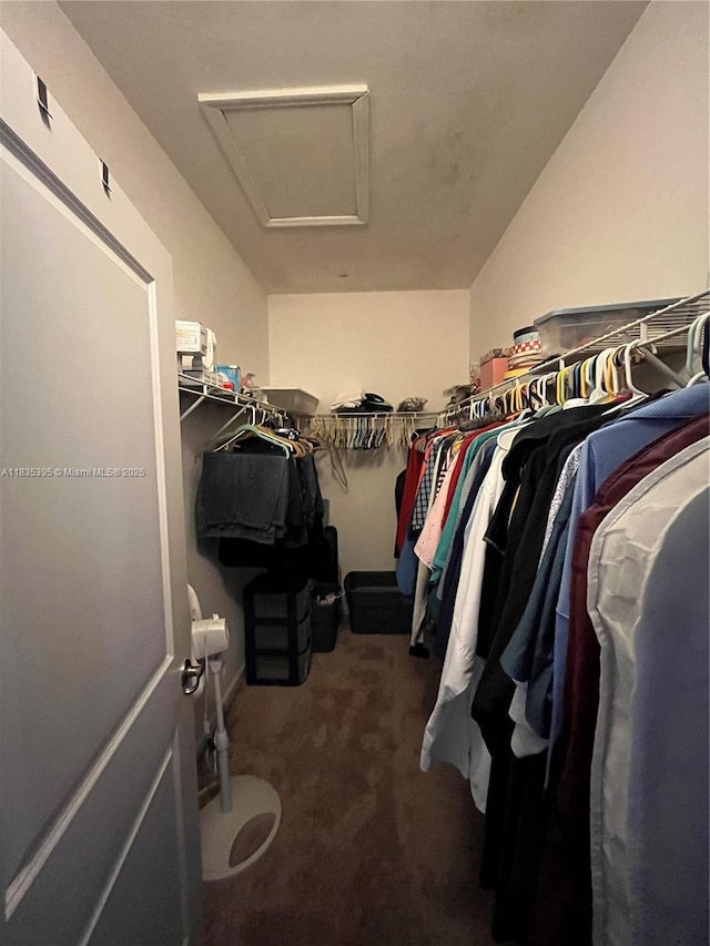 15924 SW 306th Ter, Homestead, FL 33033 - spacious closet with attic access and carpet