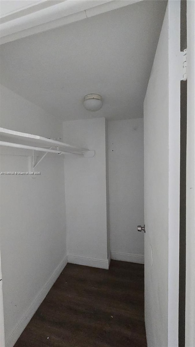 498 NW 165th St Rd Unit D-407, Miami, FL 33169 - spacious closet with dark wood-style flooring