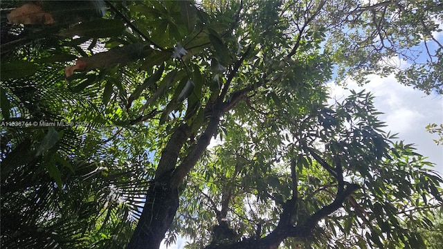 22 NW 31st Ave, Miami, FL 33125 - photo 33