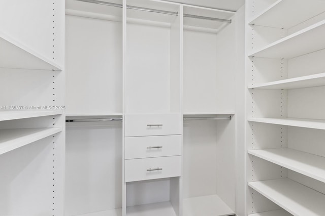488 NE 18th St Unit 509, Miami, FL 33132 - view of spacious closet