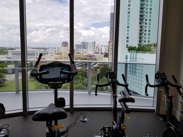 488 NE 18th St Unit 509, Miami, FL 33132 - workout area with a city view