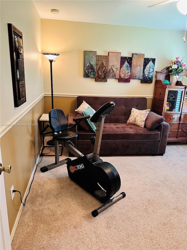 workout area with carpet and a ceiling fan