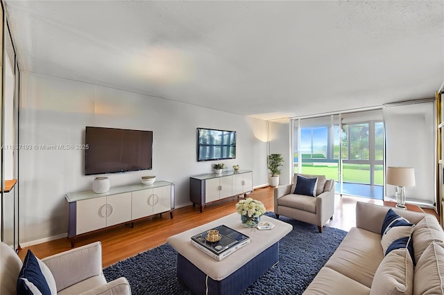 7684 NW 18th St Unit 202, Margate, FL 33063 - living room with wood finished floors and baseboards