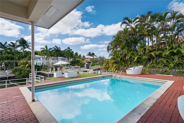 5308 Riviera Dr, Coral Gables, FL 33146 - view of swimming pool