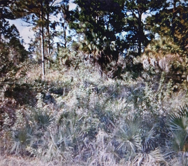 1109 Rambler St, Lehigh Acres, FL 33974