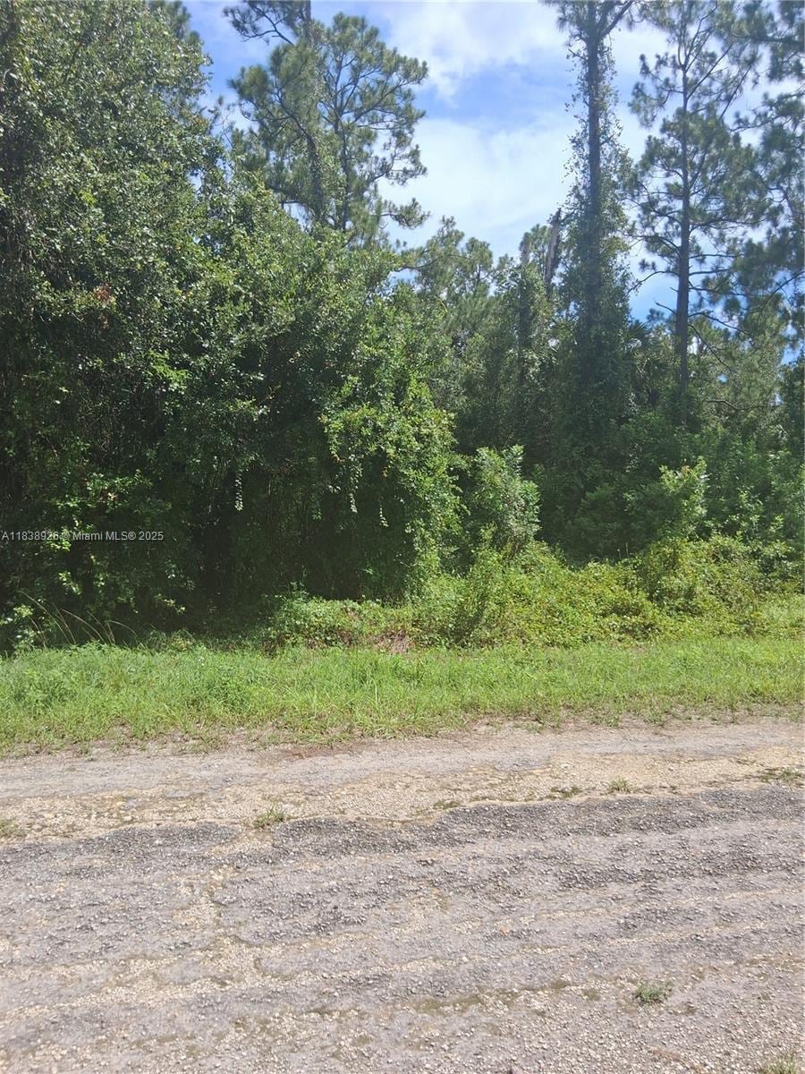 1109 Rambler St, Lehigh Acres, FL 33974 - photo 1