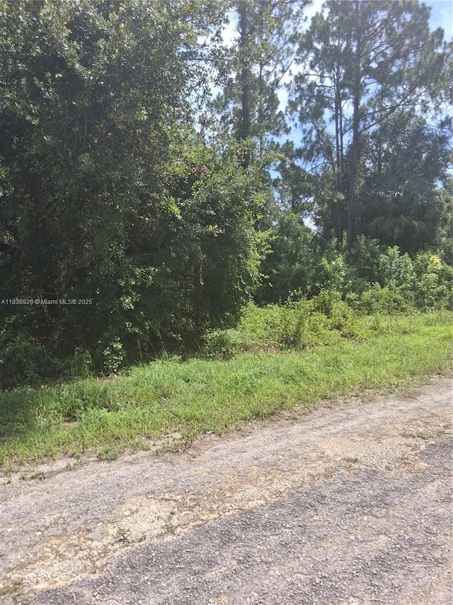 1109 Rambler St, Lehigh Acres, FL 33974 - photo 2