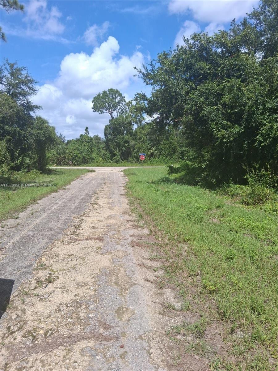 1109 Rambler St, Lehigh Acres, FL 33974 - photo 3