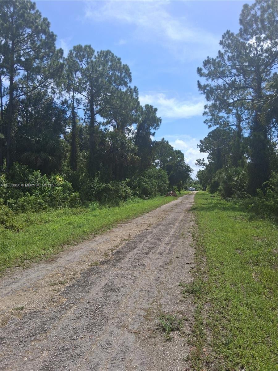1109 Rambler St, Lehigh Acres, FL 33974 - photo 4
