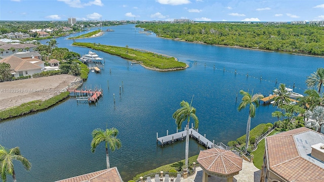 209 Commodore Dr, Jupiter, FL 33477 - photo 57