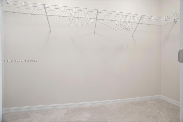 8036 NW 78th St, Tamarac, FL 33321 - spacious closet featuring carpet floors