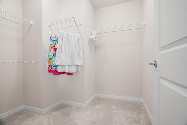 8036 NW 78th St, Tamarac, FL 33321 - spacious closet featuring carpet