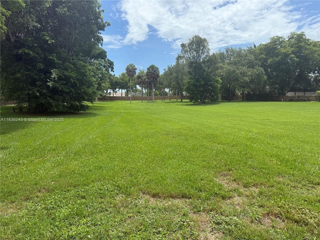 10726 SW 147th Pl, Miami, FL 33196 - view of yard