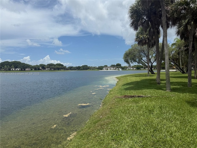 10726 SW 147th Pl, Miami, FL 33196 - water view