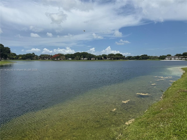 10726 SW 147th Pl, Miami, FL 33196 - water view