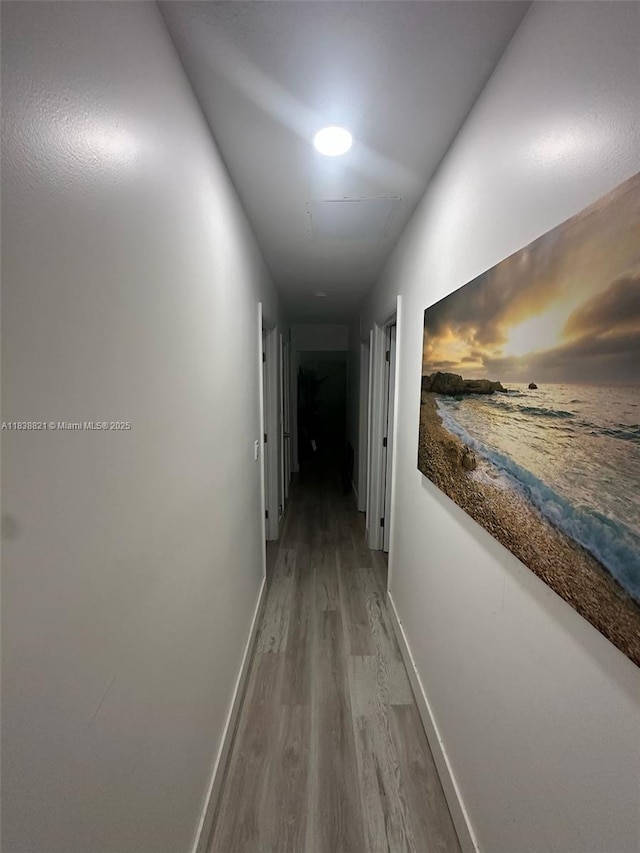 1249 S Flamingo Rd, Davie, FL 33325 - hall featuring wood finished floors and baseboards