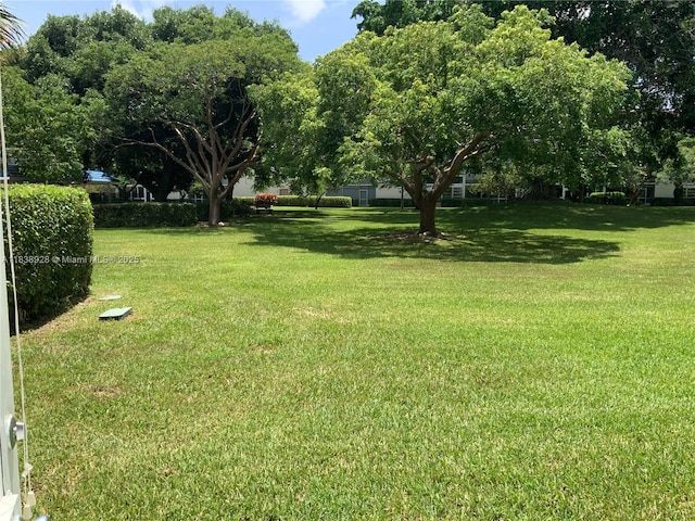 2405 Antigua Cir Unit H1, Coconut Creek, FL 33066 - view of green lawn