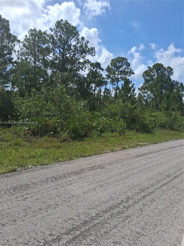 3401 E 13th St, Lehigh Acres, FL 33972 - photo 2