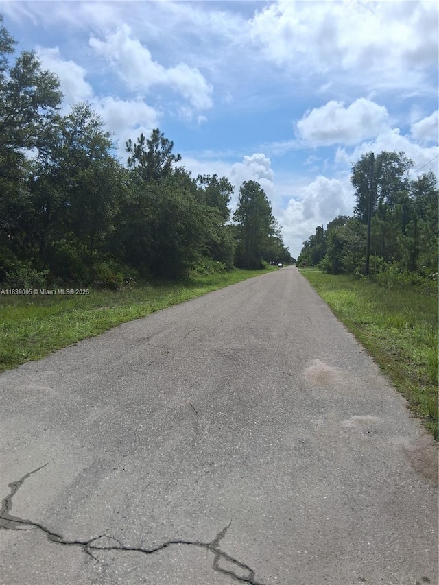 3401 E 13th St, Lehigh Acres, FL 33972 - photo 4