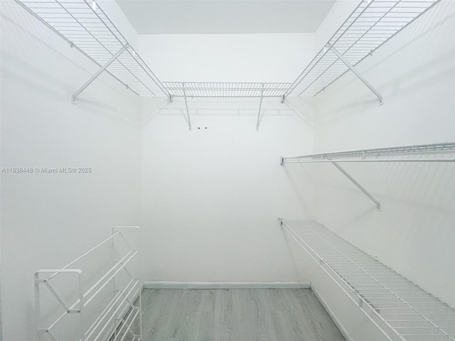 5387 SW 40th Ave Unit 202, Dania Beach, FL 33314 - walk in closet featuring light wood-style floors