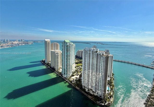 300 Biscayne Blvd Way Unit 4401, Miami, FL 33131 - view of urban area featuring a nearby body of water