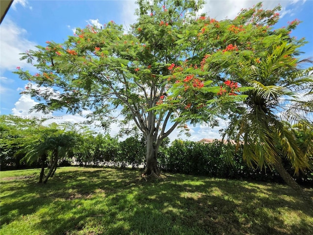 10120 NW 71st Pl, Tamarac, FL 33321 - view of grassy yard