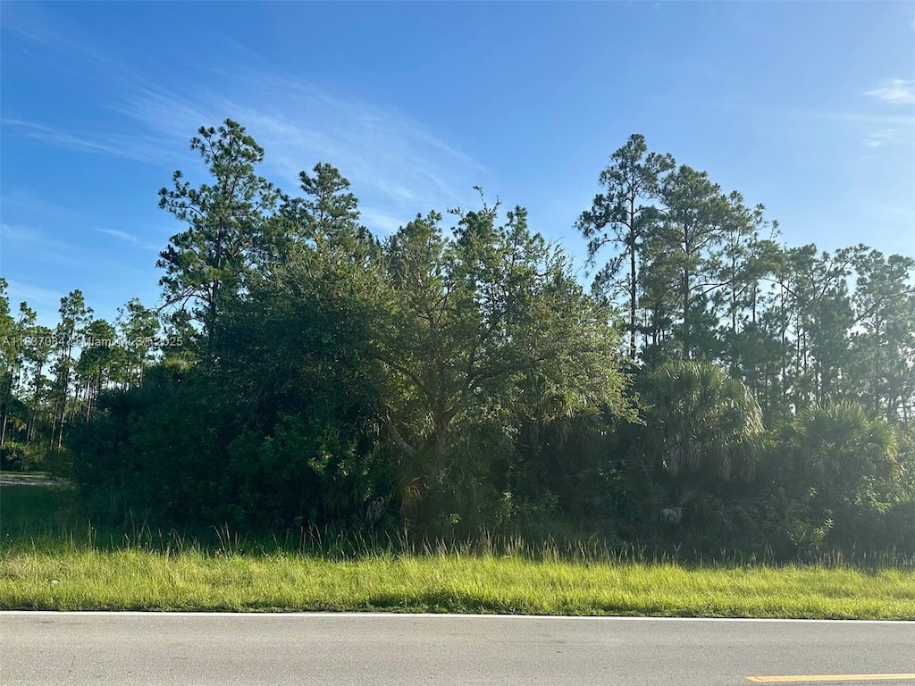107 Oboe Ct, Lehigh Acres, FL 33974