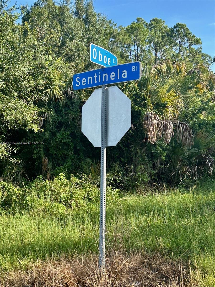 107 Oboe Ct, Lehigh Acres, FL 33974