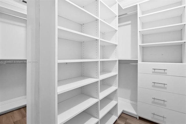 14834 SW 140th St, Miami, FL 33196 - spacious closet with wood finished floors