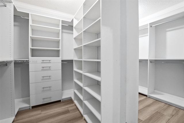 14834 SW 140th St, Miami, FL 33196 - spacious closet featuring wood finished floors