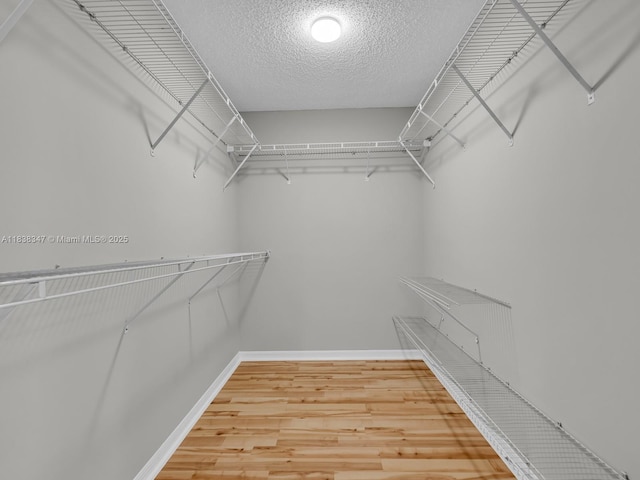 18232 SW 5th St, Pembroke Pines, FL 33029 - walk in closet with wood finished floors