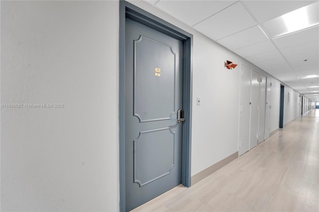 919 Hillcrest Dr Unit 704, Hollywood, FL 33021 - hallway with light wood-type flooring and a paneled ceiling
