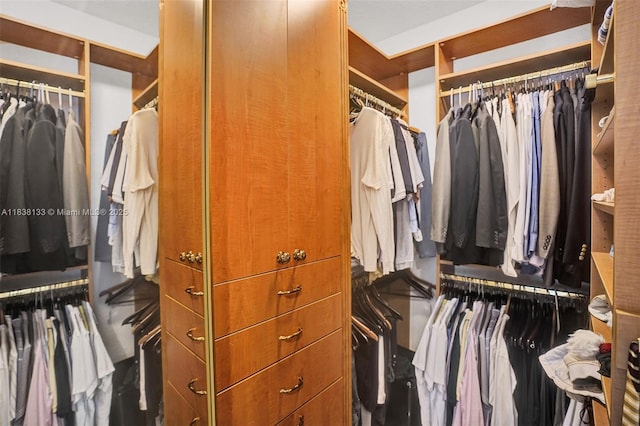 15595 Chandelle Pl, Wellington, FL 33414 - view of walk in closet