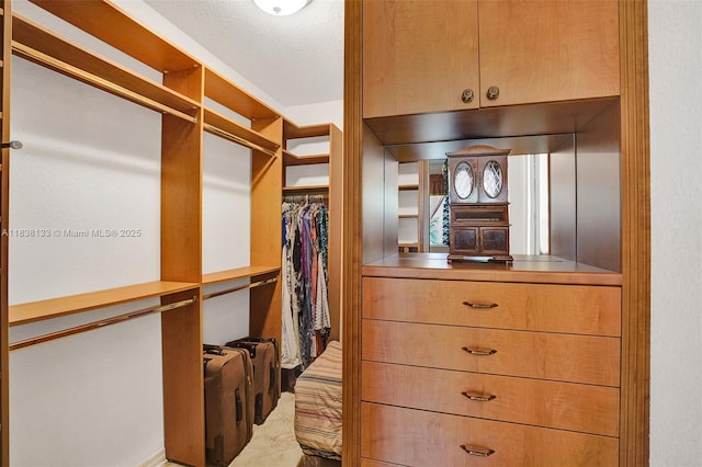 15595 Chandelle Pl, Wellington, FL 33414 - view of spacious closet